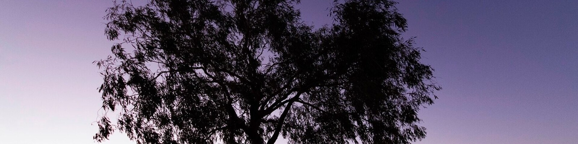 Don't miss out on photography this place. Amazing