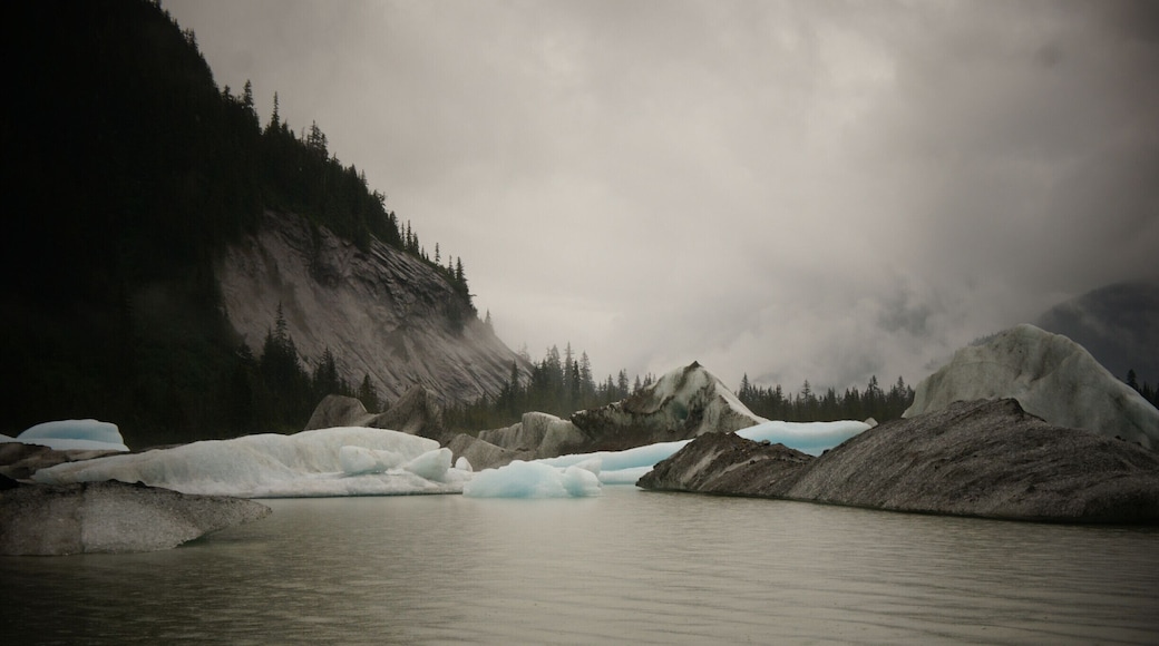 Icebergs on the Stikine River