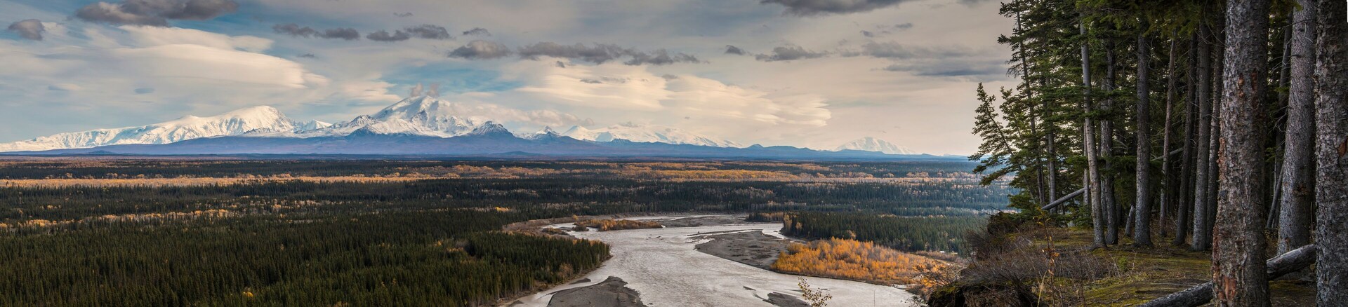 panoramic shot of the Wrangell St Elias mountain range viewed from the Copper River in Alaska during autumn