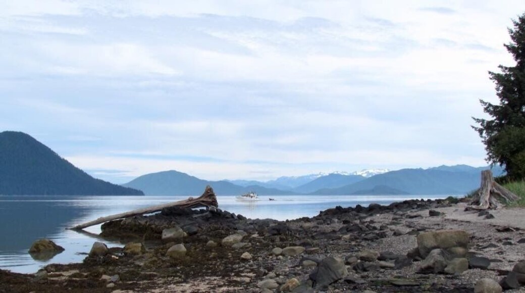 This is a view from Petroglyph Beach in Wrangell Alaska. It is a short walk from the centre. To be honest there are very little original carvings left on the site. They have been moved to the museum for preservation. The few on the beach are very faded. The beach is still worth checking out. There is a platform with replicas and a lot of information. We collected ferns and got some butcher paper and did a rubbing of a replica. It came out really well.