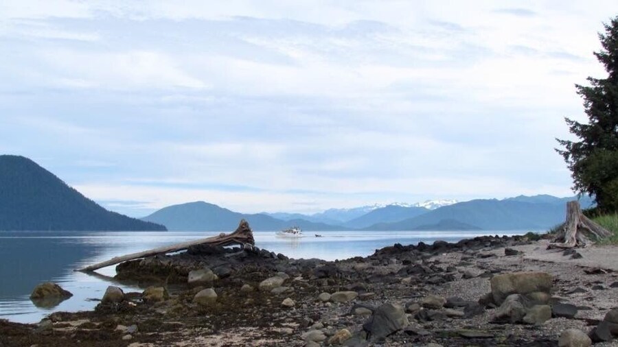 This is a view from Petroglyph Beach in Wrangell Alaska. It is a short walk from the centre. To be honest there are very little original carvings left on the site. They have been moved to the museum for preservation. The few on the beach are very faded. The beach is still worth checking out. There is a platform with replicas and a lot of information. We collected ferns and got some butcher paper and did a rubbing of a replica. It came out really well.