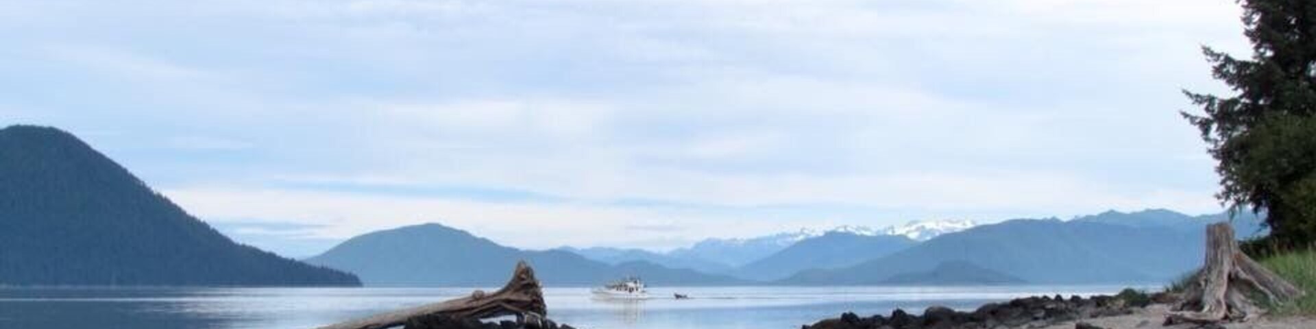 This is a view from Petroglyph Beach in Wrangell Alaska. It is a short walk from the centre. To be honest there are very little original carvings left on the site. They have been moved to the museum for preservation. The few on the beach are very faded. The beach is still worth checking out. There is a platform with replicas and a lot of information. We collected ferns and got some butcher paper and did a rubbing of a replica. It came out really well.
