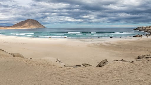 An idyllic beach at a remote location inside an arid landscape at Atacama Desert coast. The waves coming from the Pacific Ocean crash the rocks of the desert on an amazing wild dry scenery