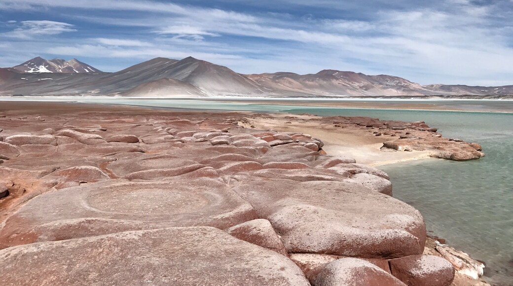 Antofagasta Province