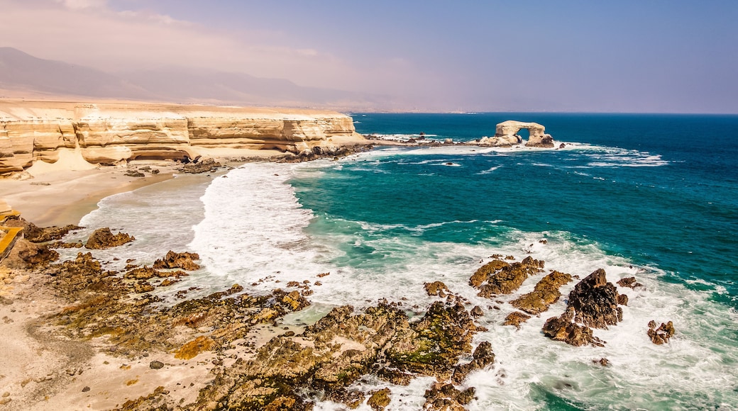 أنتوفاجاستا