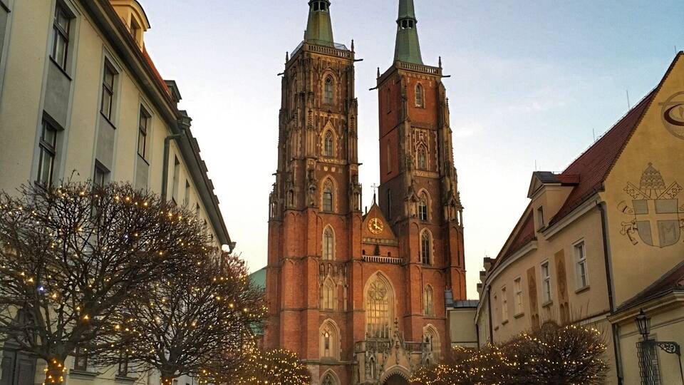 Don't miss this second of the day when it's slightly dark, the christmas lights are starting to light up and all photos look sweet