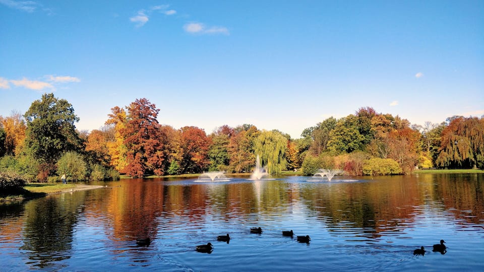This park with a beautiful lake in center, surrounded with the trees looks even more beautiful in Autumn! 🍂 #fall #LifeAtExpediaGroup #autumn #wroclaw