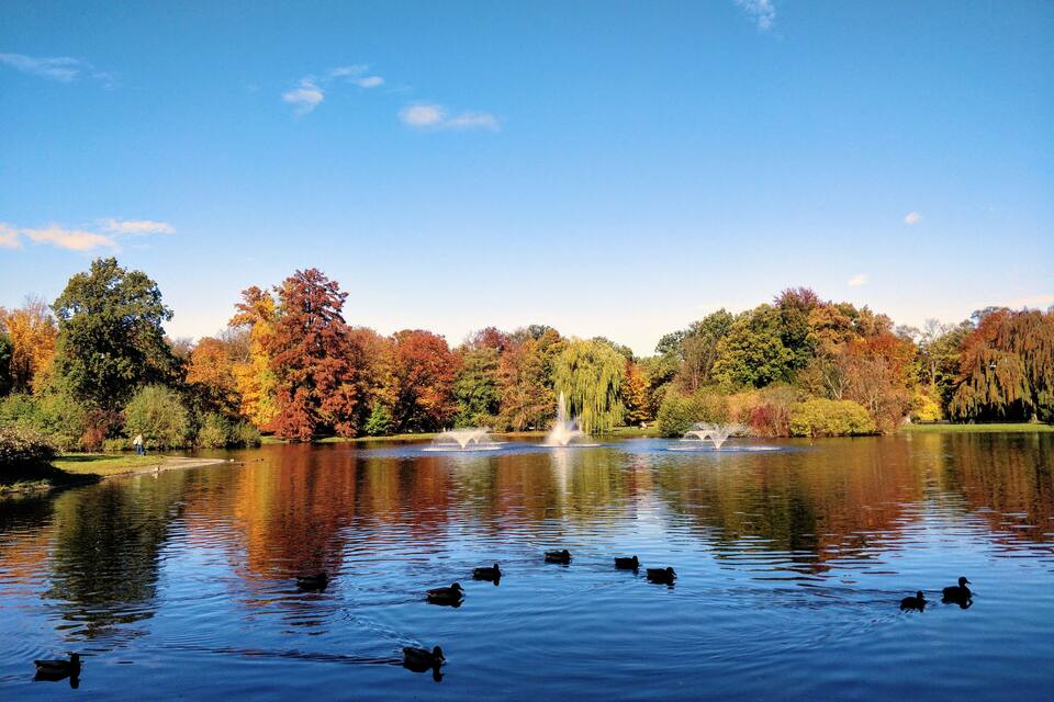 Un lac avec des canards, des arbres aux couleurs automnales et une fontaine.