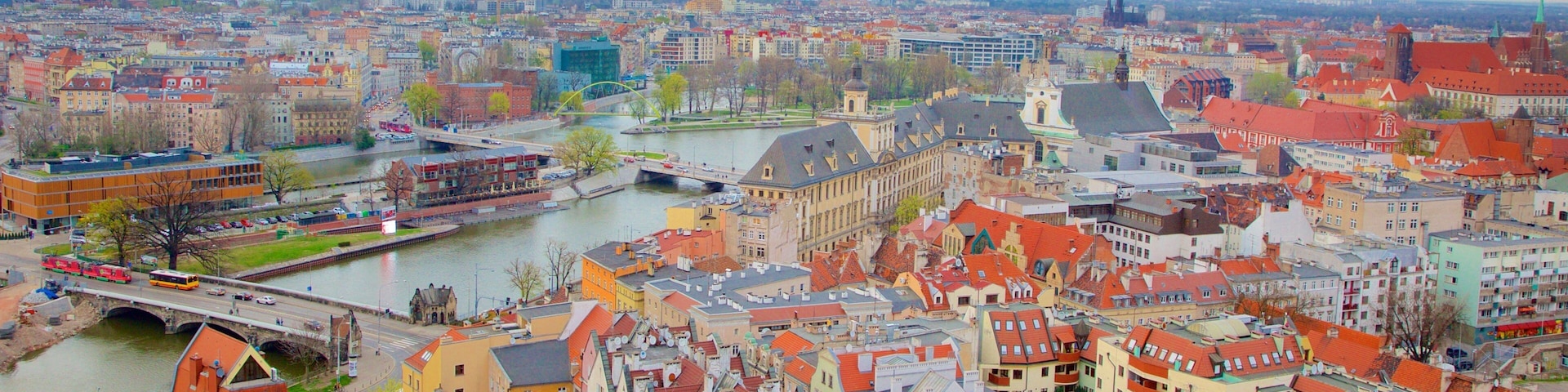 A panoramic view of a city with a river, historic buildings, and a prominent church tower.
