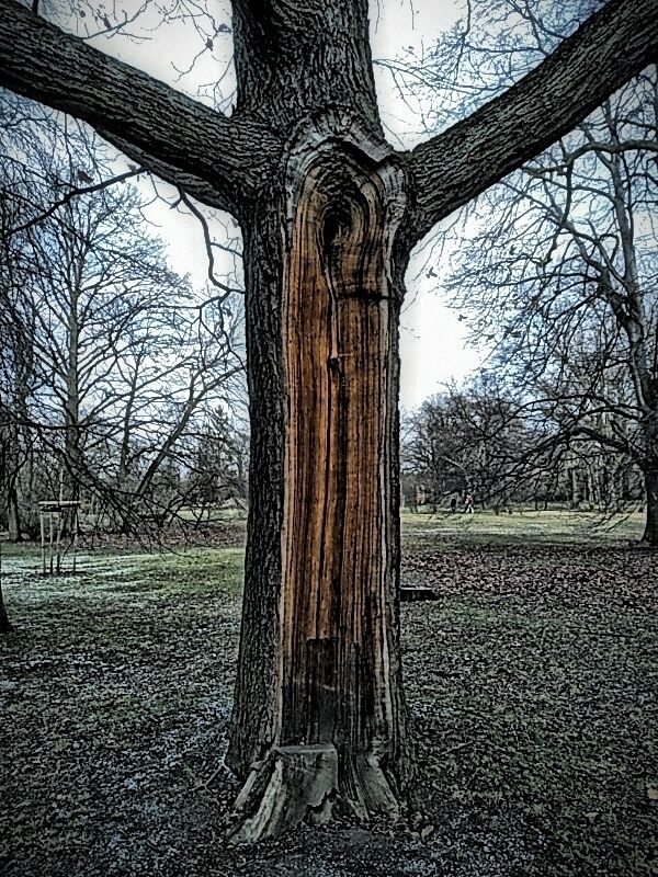 Nice park at amaze city