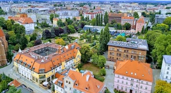 View from the top - helps you orientate yourself in the city to explore further