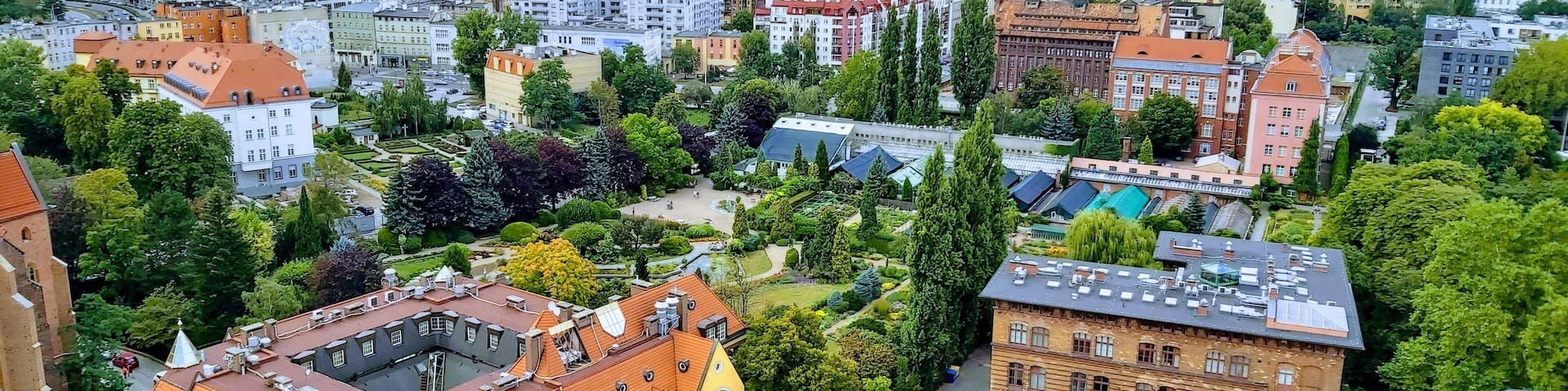 View from the top - helps you orientate yourself in the city to explore further
