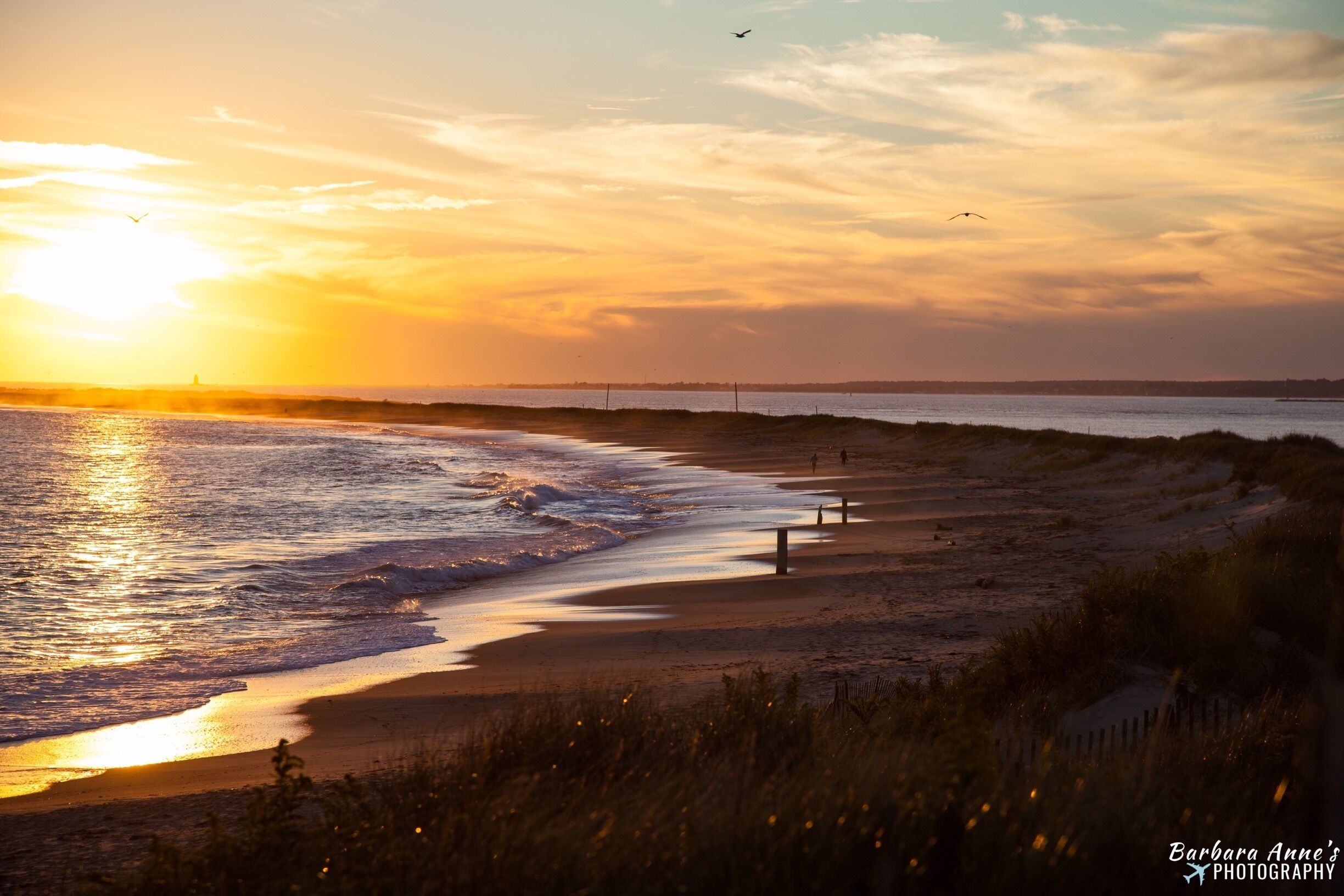 #sunset #landscape #beach #ocean #nature