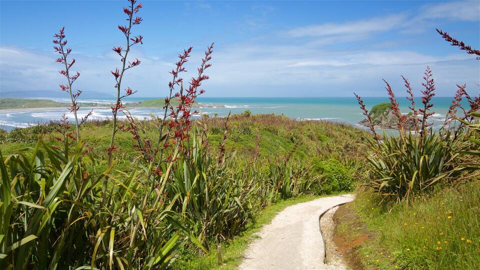 A coastal path with red flowering plants and a view of the ocean.
