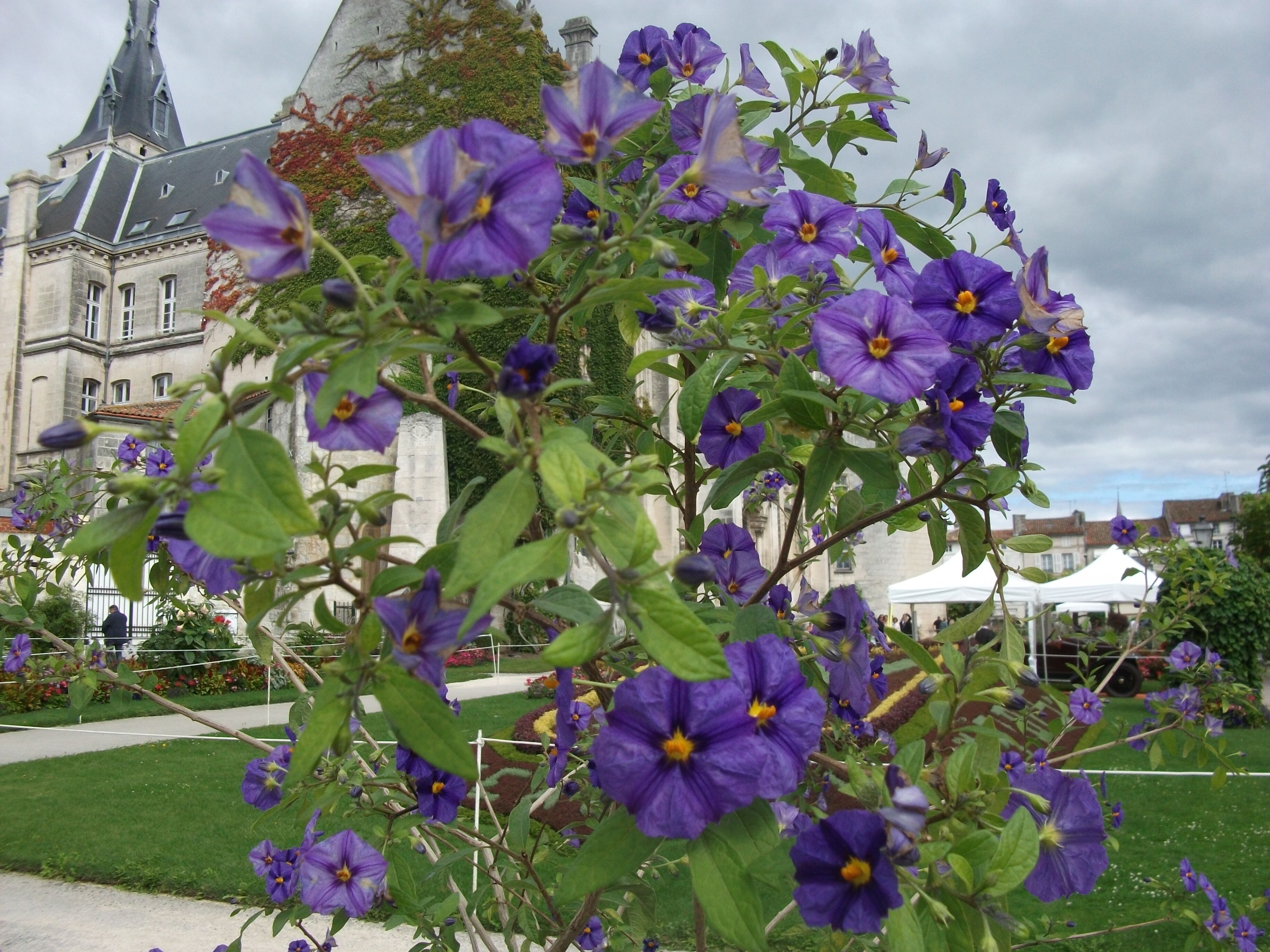 This building is indexed in the Base Mérimée, a database of architectural heritage maintained by the French Ministry of Culture, under the reference PA00104211 .