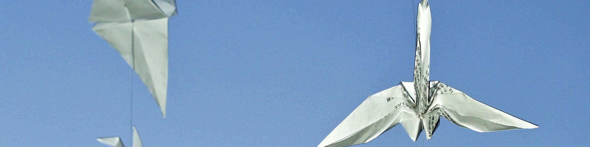 One thousand origami cranes folded by students at Huazhong Agricultural University in Wuhan, China.