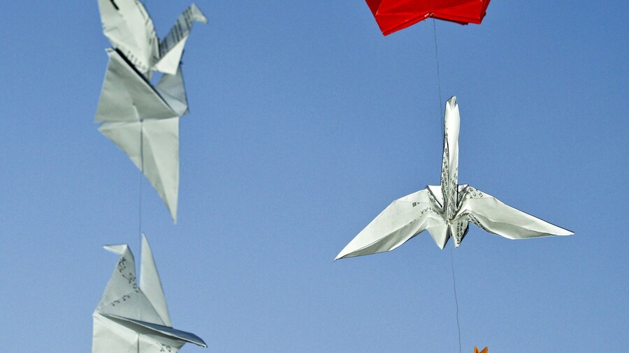 One thousand origami cranes folded by students at Huazhong Agricultural University in Wuhan, China.