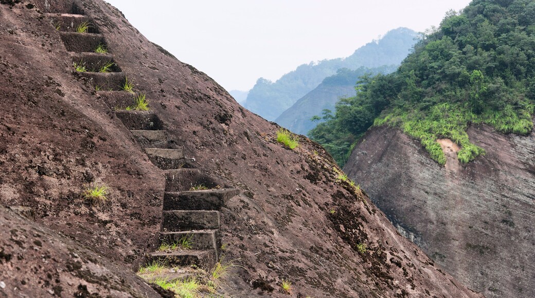 steps leading up a rock