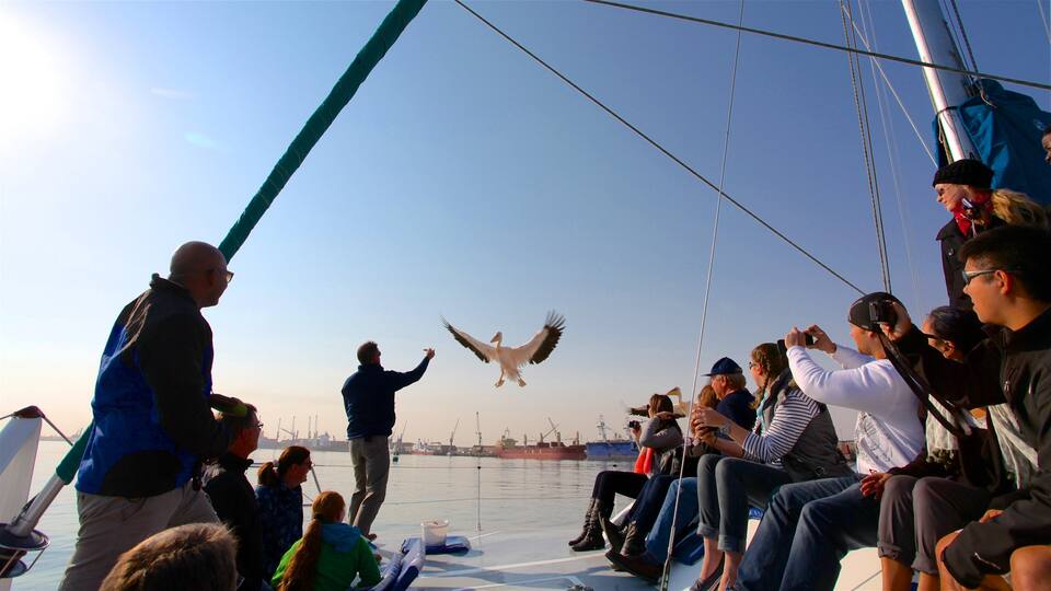 A seaplane taking off from a dock with people watching.
