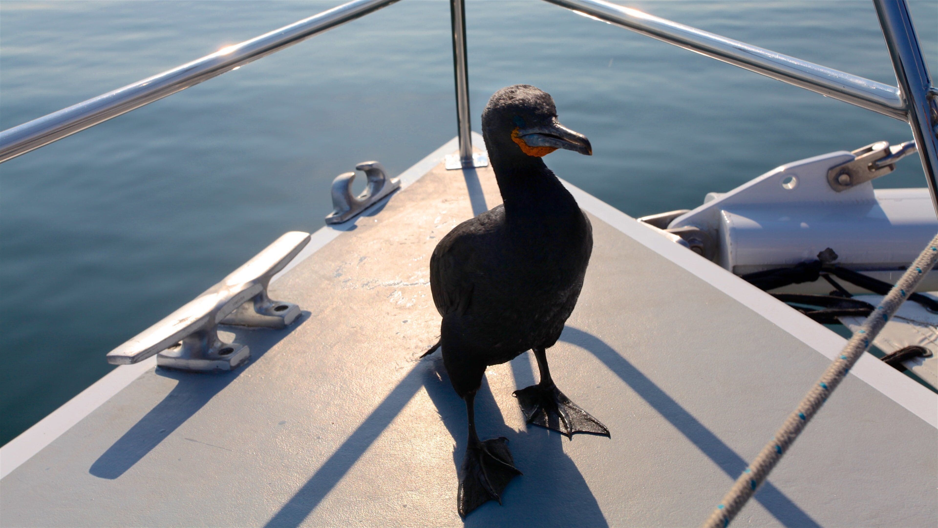 <h2>Top-rated places to stay near the beach in Walvis Bay</h2>