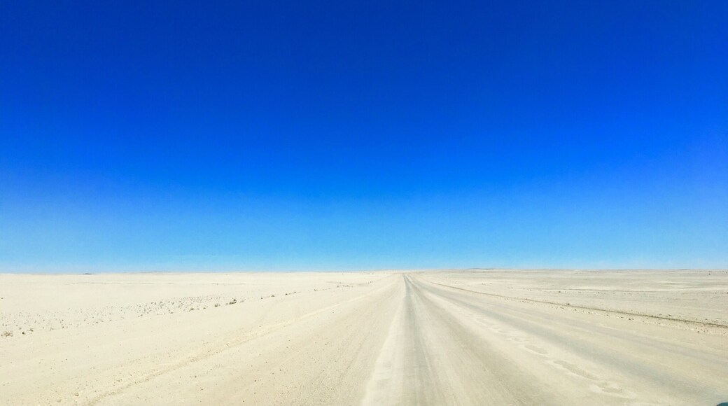 Sand and sky. Driving through the Namib Desert. #Namibia #traveling