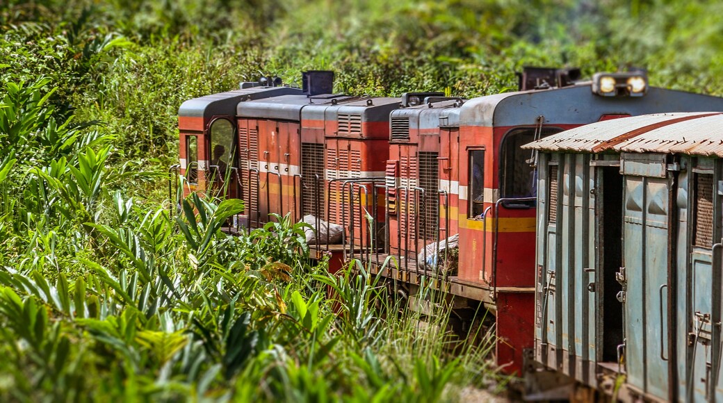 Fianarantsoa - East Coast train