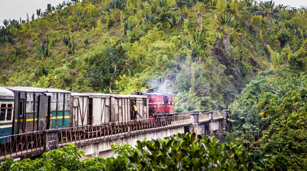 An Old train in Madagascar going through the jungle from Fianarantsoa to Manakara, A man gets to touch the bridge with his leg while the train is running.