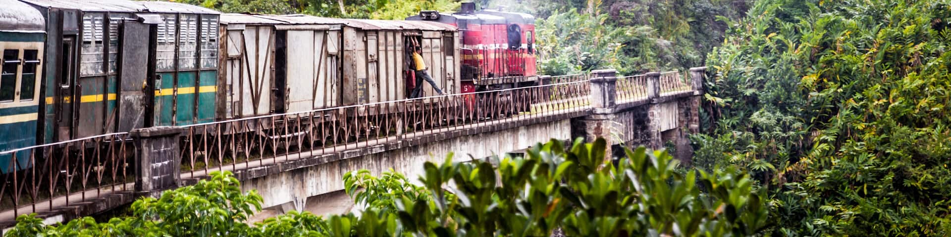 An Old train in Madagascar going through the jungle from Fianarantsoa to Manakara, A man gets to touch the bridge with his leg while the train is running.