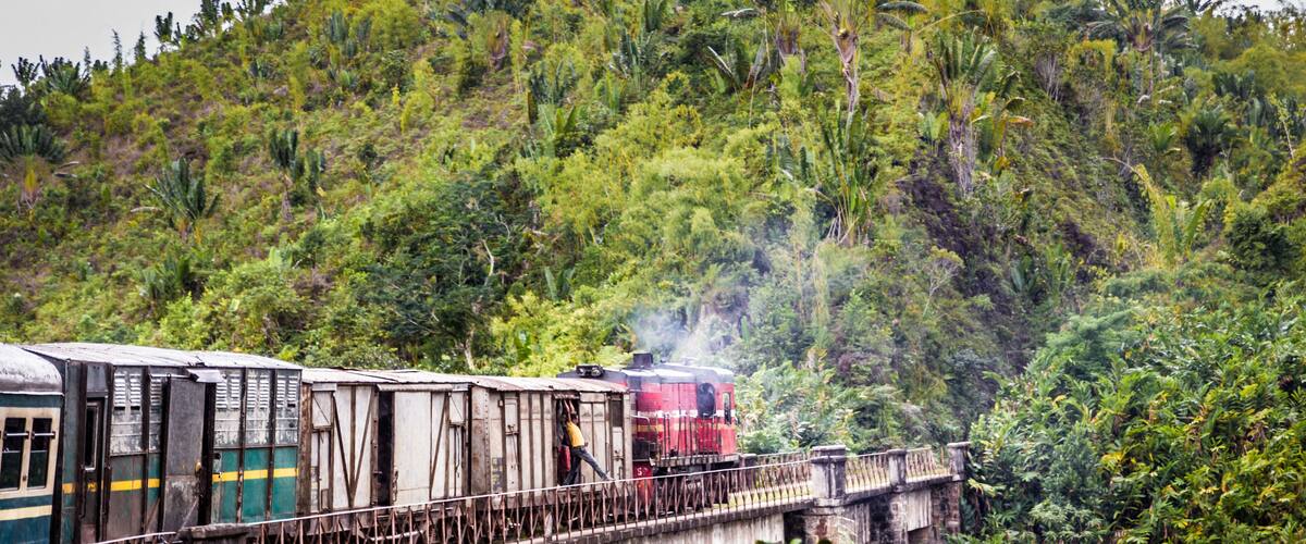 A train on a bridge surrounded by lush greenery.