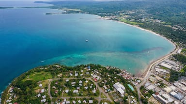 An aerial view of a coastal town with a clear blue sea, a small island, and surrounding greenery.