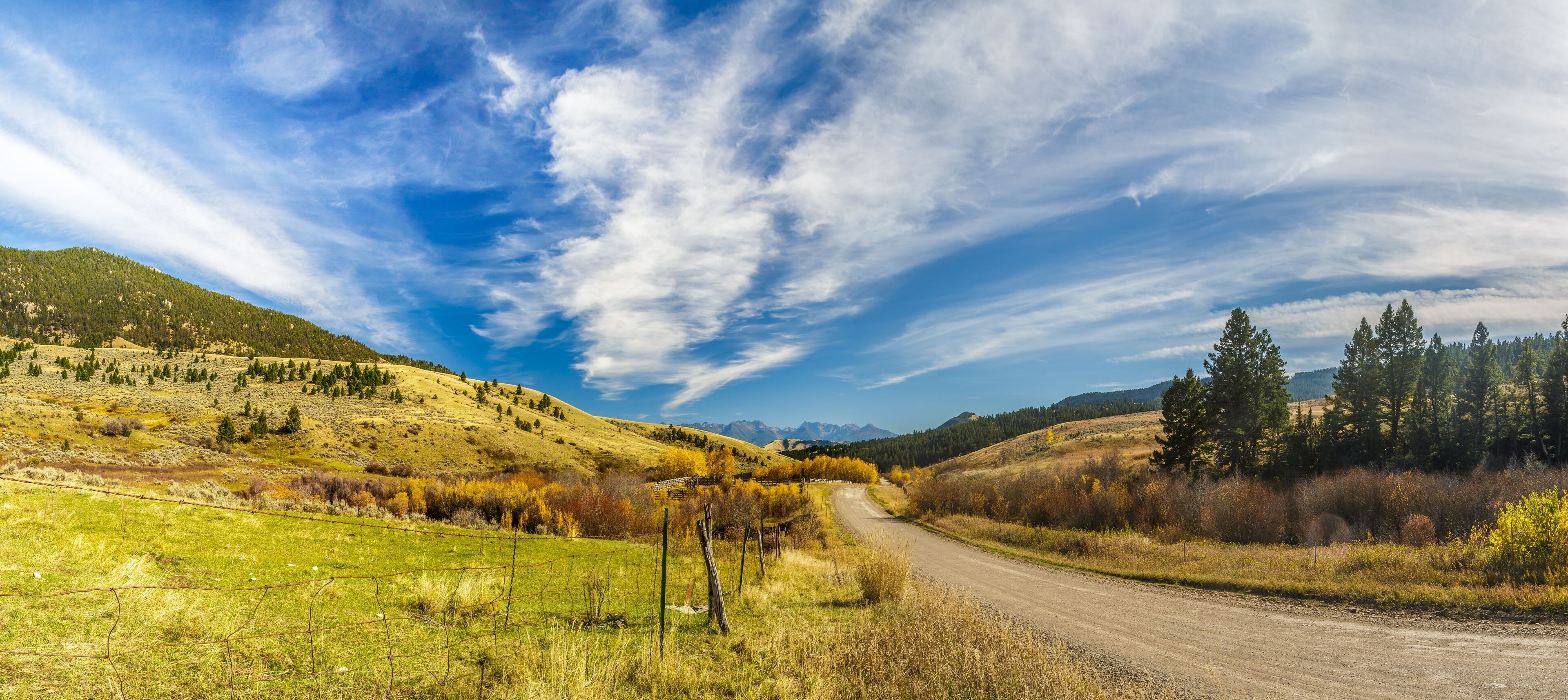 Country Dirt Road
