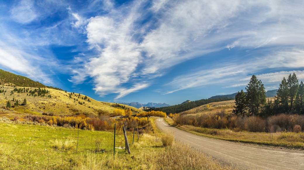 Country Dirt Road