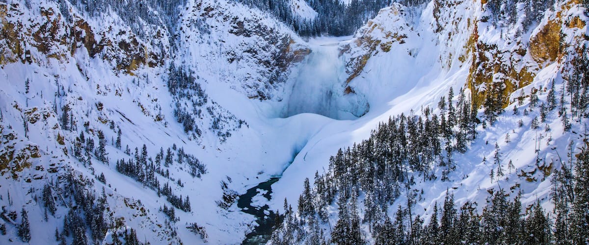 Grand Canyon of Yellowstone - Yellowstone Falls