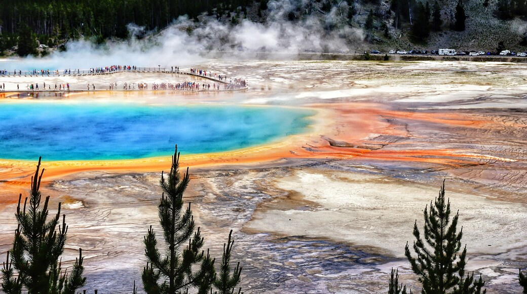 Spectacular panoramic views of Grand Prismatic Geyser in Yellowstone National Park, Wyoming Montana. Midway Geyser Basin. Great hiking. Summer wonderland to watch natural landscape. Geothermal.
