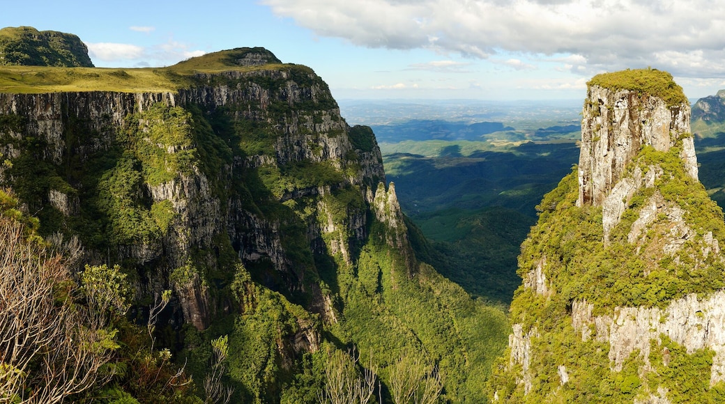 canion do Espraiado, general saw Santa Catarina Brazil, place known as the parental field