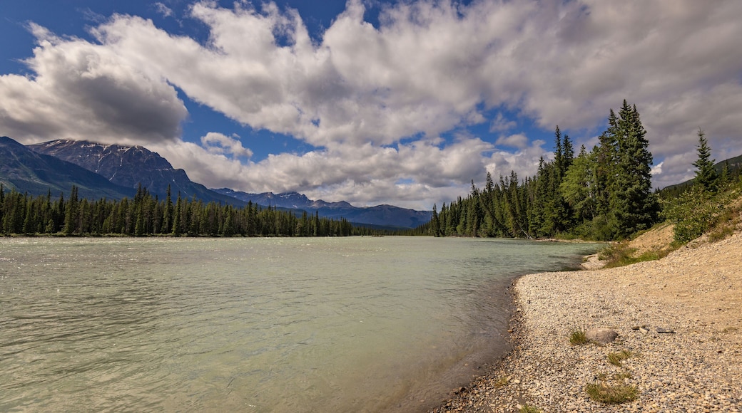 nature sceneries along the Highway from Prince George to Jasper National Park, Alberta, Canada