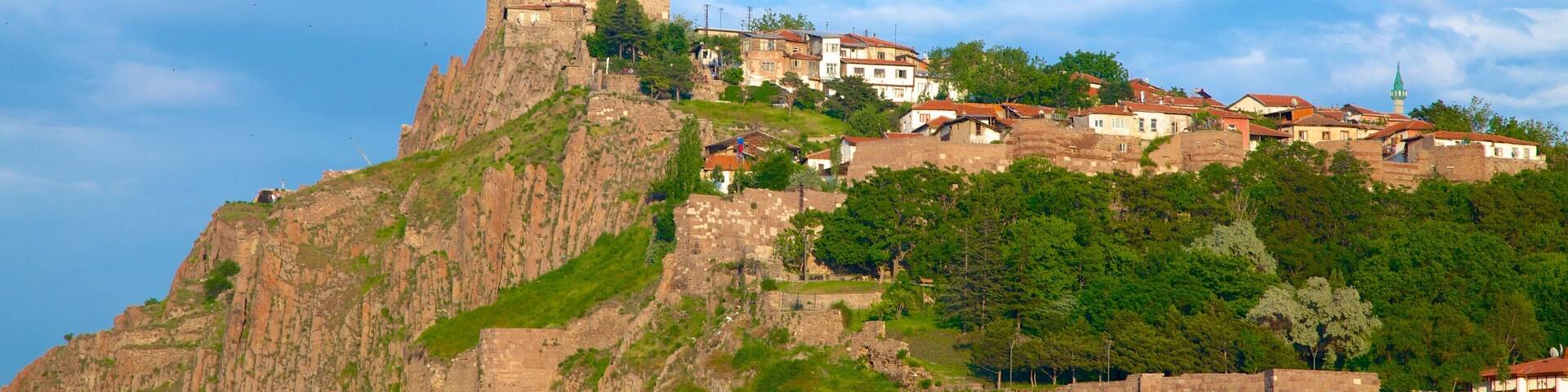 A historic castle atop a hill with a red flag, surrounded by a village with traditional buildings.