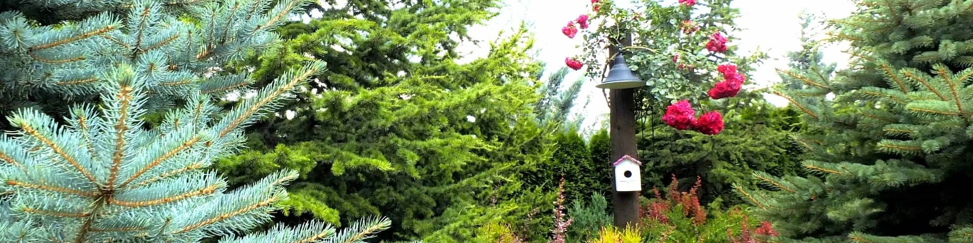 Yes that's right, a piece of my dreams... #leaves #dried #fujixs1 #fujifilmtr #fujifilmxt1 #fujifilmxpro2 #fujifilm_street #photojournal #nature #view #wild #trip #travel #documentary #journal #tree #bird #birdnest