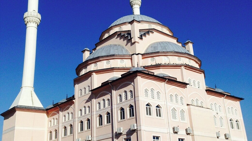 Ankara does not have the wonderful Bosporus but it is worth exploring. I lived there for nearly two years. #cami #Architecture