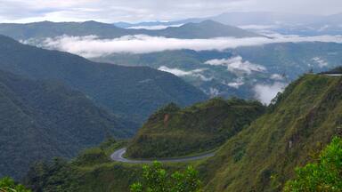 On the road through the Andes