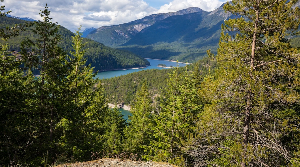 Ross Lake at North Cascades National Park Summer in Washington State during summer.