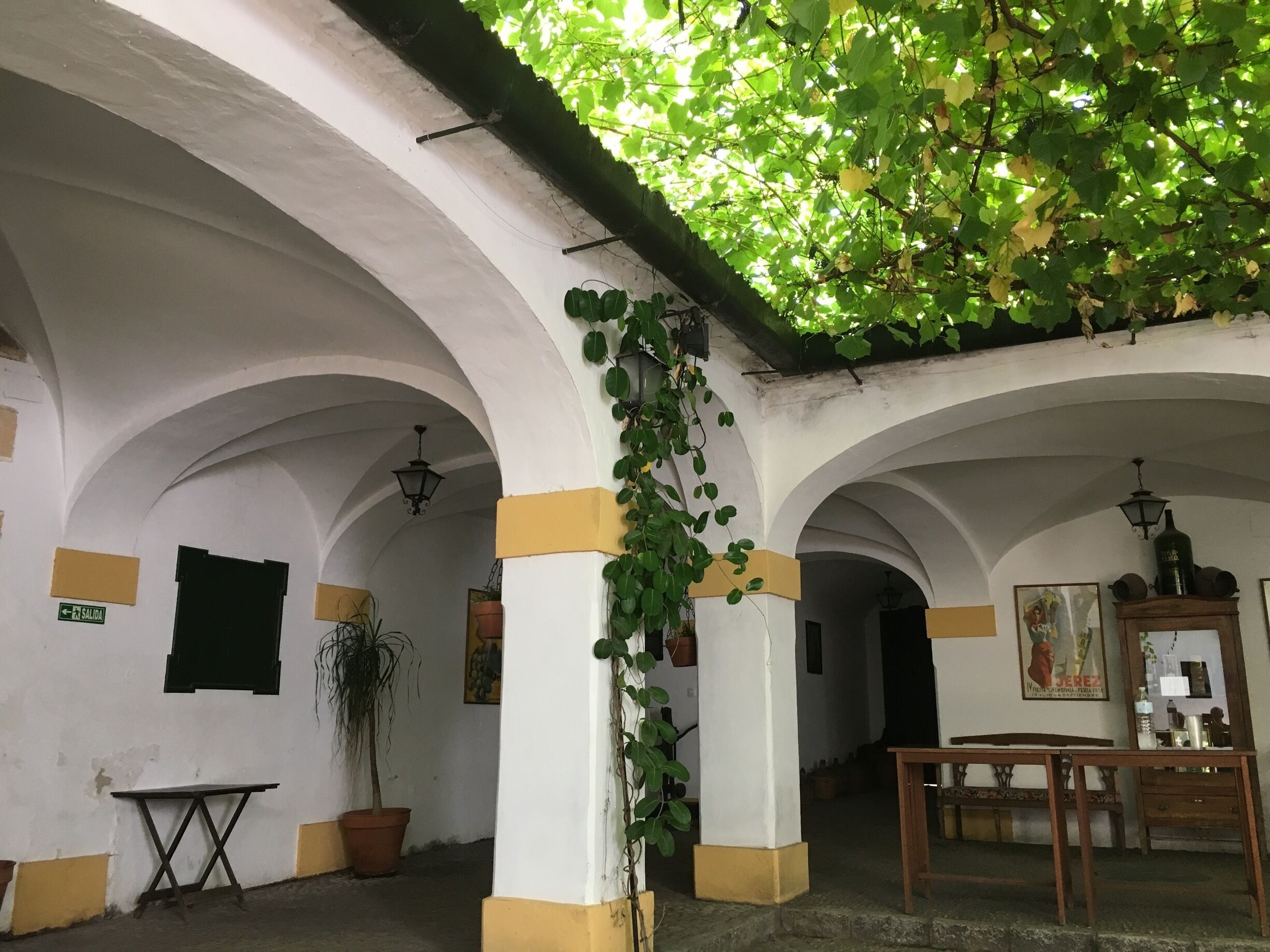 Great tour of sherry producer