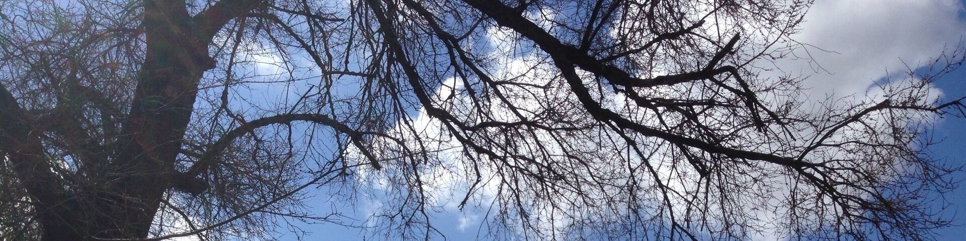 Even if you are not into horses, a visit to the Royal Andalusian School of Equestrian Art is worth your while. This is the covered ring where the proud dancing horses perform. Build in 1980 in Andalusian style, it can hold up to 1600 people (says a sign).
Come early to watch the practice before the show. The great weather kept us from visiting the two museums on the grounds. Tip: great coffee in the bar on the other side of the building!
https://www.realescuela.org/en/
