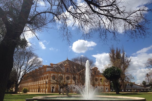 Even if you are not into horses, a visit to the Royal Andalusian School of Equestrian Art is worth your while. This is the covered ring where the proud dancing horses perform. Build in 1980 in Andalusian style, it can hold up to 1600 people (says a sign).
Come early to watch the practice before the show. The great weather kept us from visiting the two museums on the grounds. Tip: great coffee in the bar on the other side of the building!
https://www.realescuela.org/en/