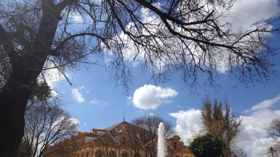 Even if you are not into horses, a visit to the Royal Andalusian School of Equestrian Art is worth your while. This is the covered ring where the proud dancing horses perform. Build in 1980 in Andalusian style, it can hold up to 1600 people