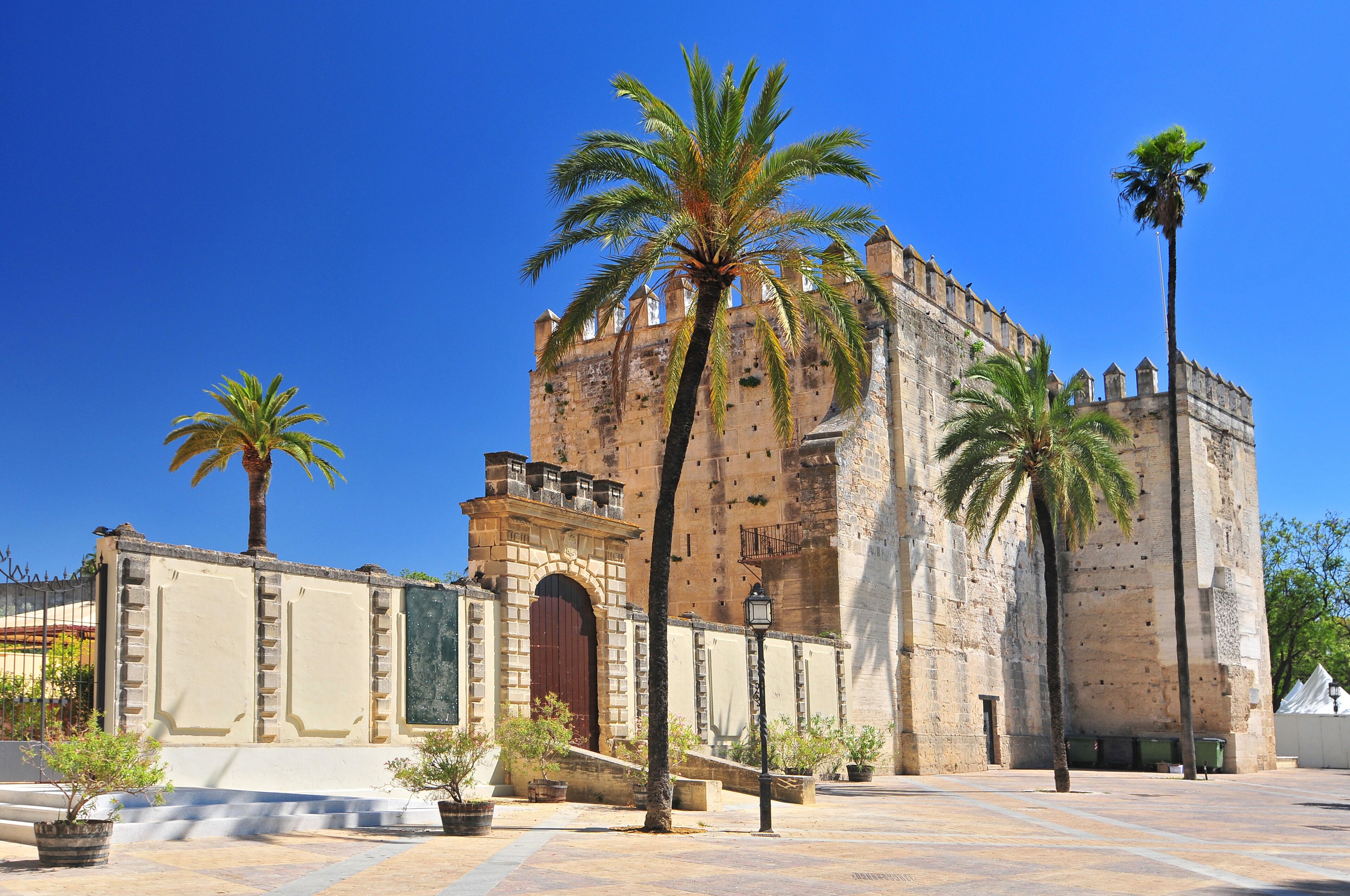 A historic building with a large arched entrance, palm trees, and a clear blue sky.