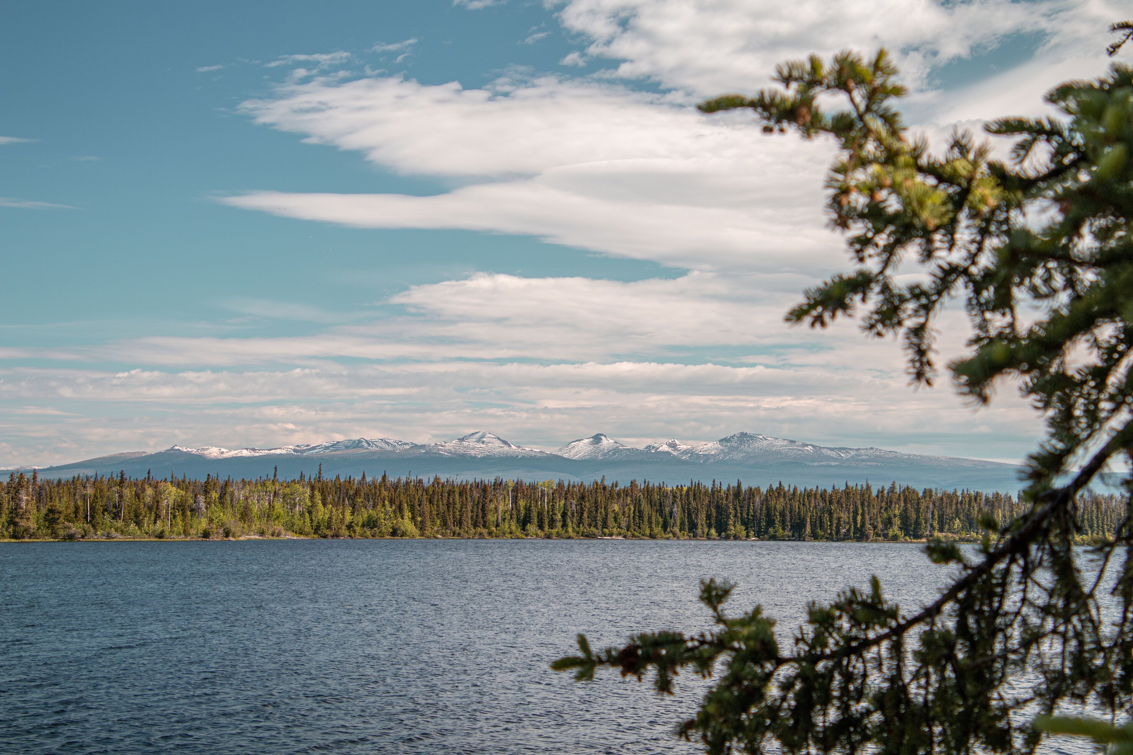 A lake with a forest and snow-capped mountains in the background.