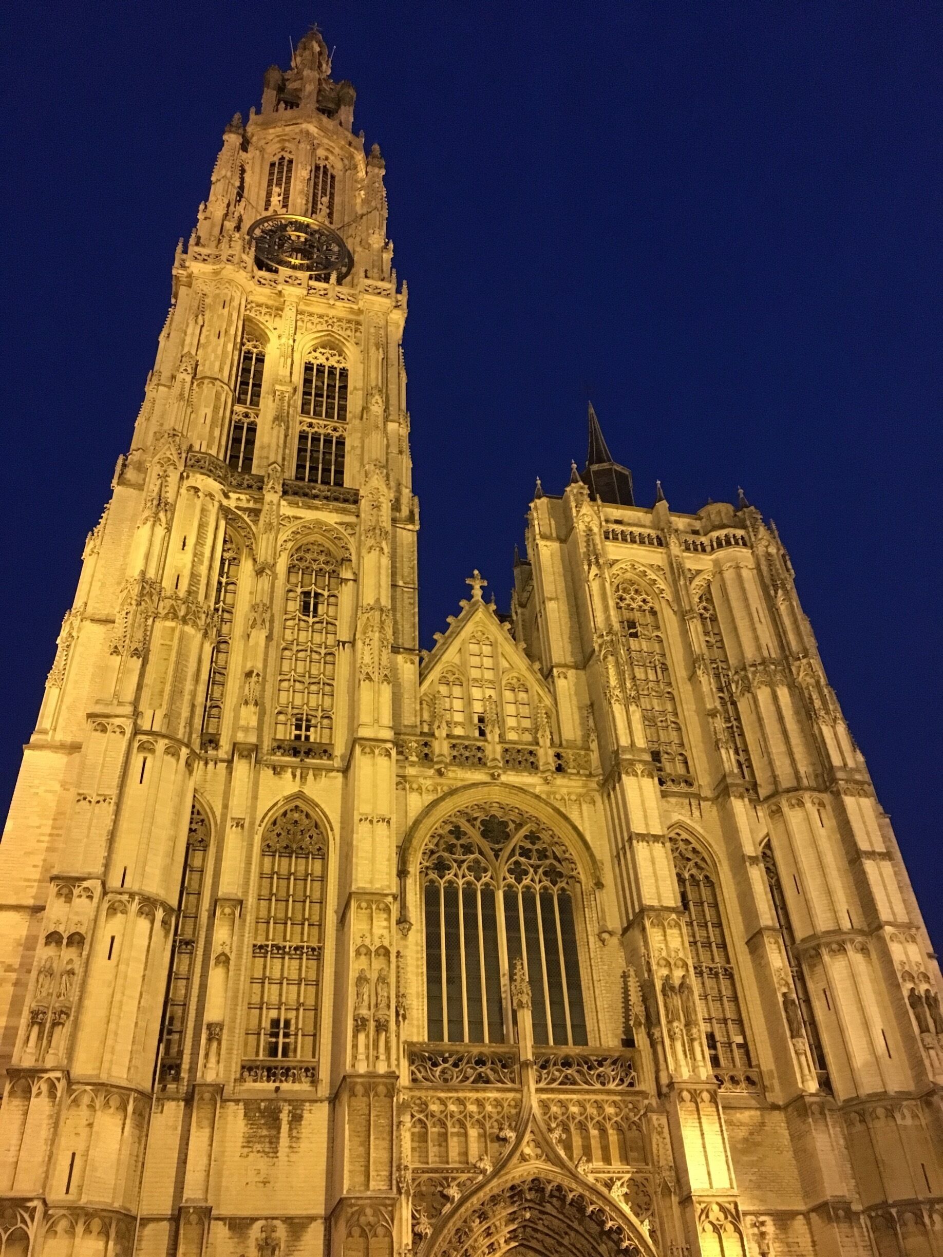 Cathedral lit up at night #UrbanJungle