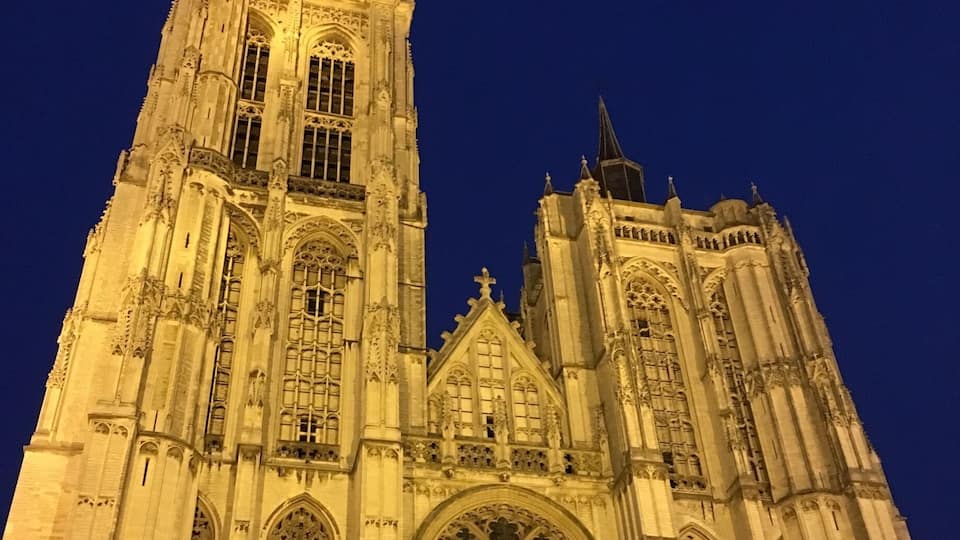 Cathedral lit up at night #UrbanJungle