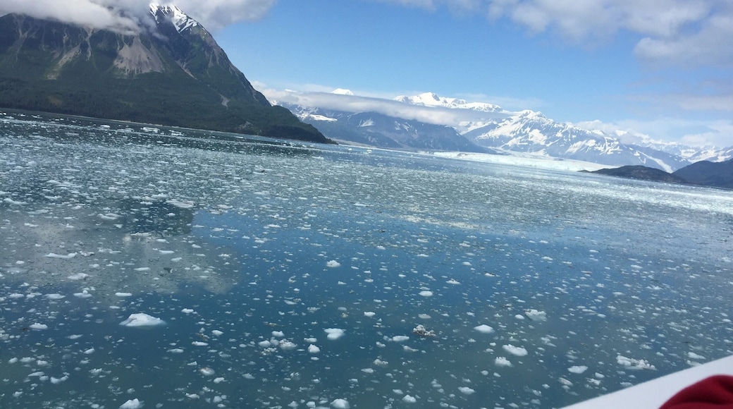 Beautiful Glacier in Yakutat City and Borough, Alaska,US.
The length of this glacier is 122 km (76 mi). The ice at the foot of the glacier is about 400 years old. A must see to appreciate its beauty!